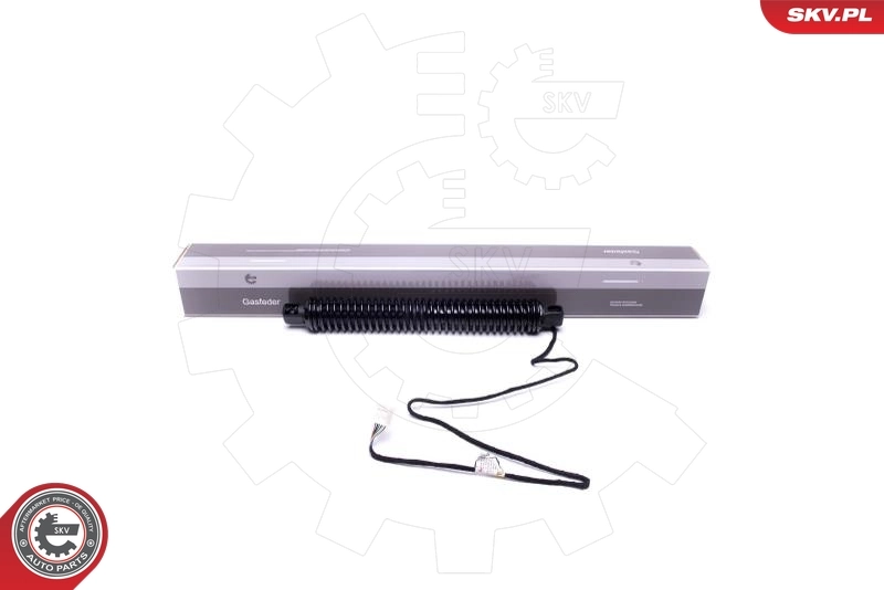 Electric Motor, tailgate